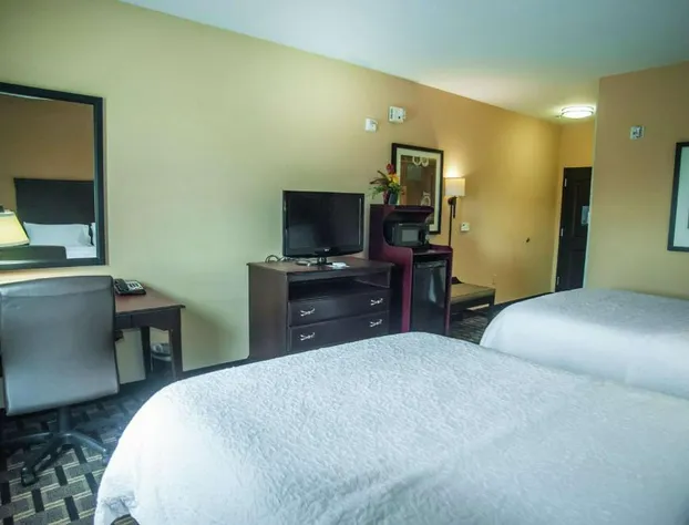 Hampton Inn & Suites Palestine hotel detail image 2