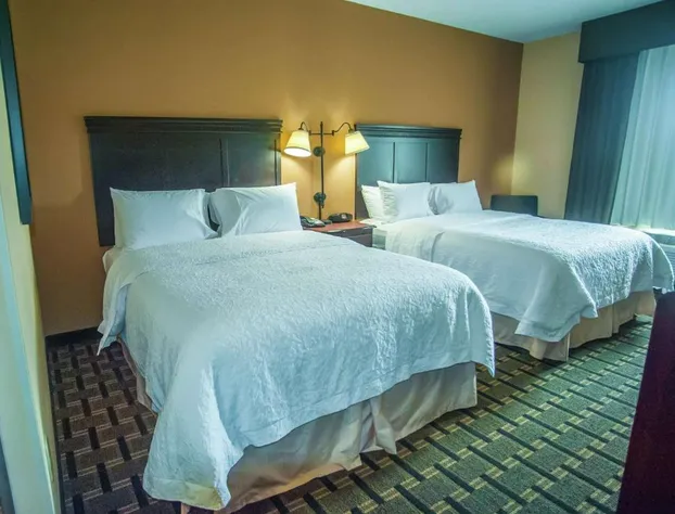 Hampton Inn & Suites Palestine hotel detail image 3