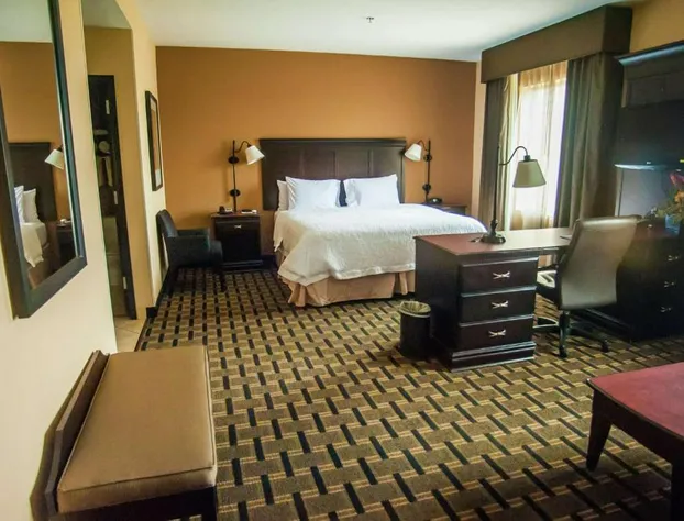 Hampton Inn & Suites Palestine hotel detail image 4