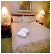 Holiday Inn TORONTO-YORKDALE hotel detail image 3