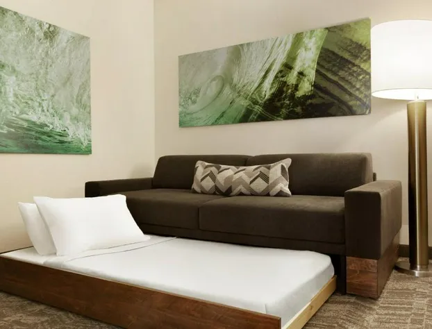 Springhill Suites by Marriott West Palm Beach hotel detail image 4