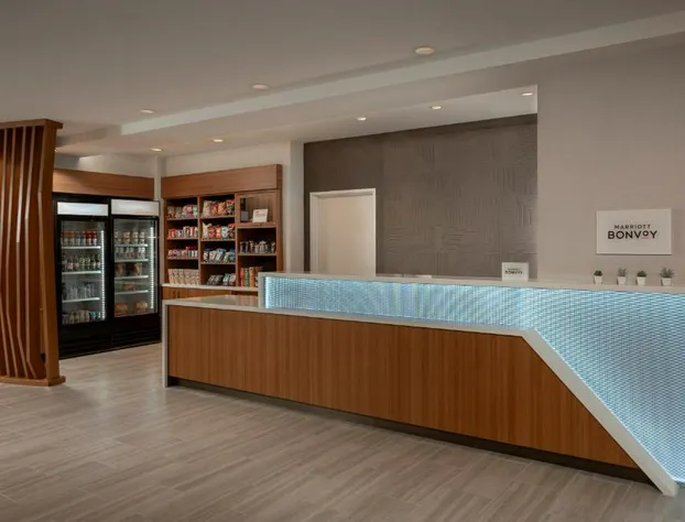 Springhill Suites By Marriott Houston Brookhollow hotel detail image 4