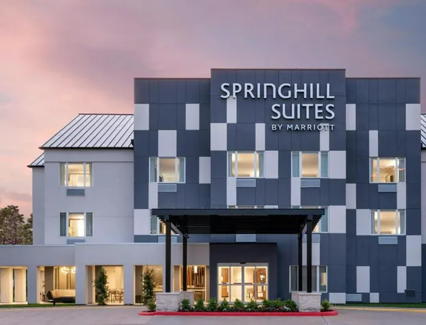 Springhill Suites By Marriott Houston Brookhollow hotel detail image 2