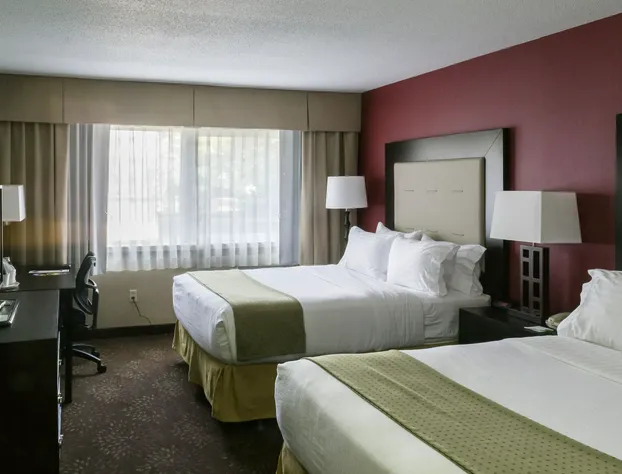 Holiday Inn Express Big Rapids by IHG hotel detail image 4