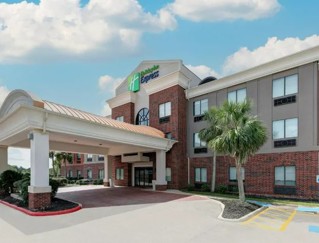 Holiday Inn Express Hotel & Suites Winnie by IHG hotel detail image 1