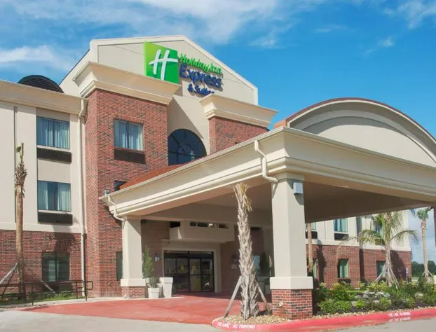 Holiday Inn Express Hotel & Suites Winnie by IHG hotel detail image 2