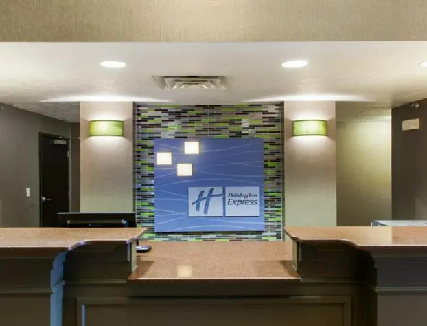 Holiday Inn Express & Suites Brandon by IHG hotel detail image 3