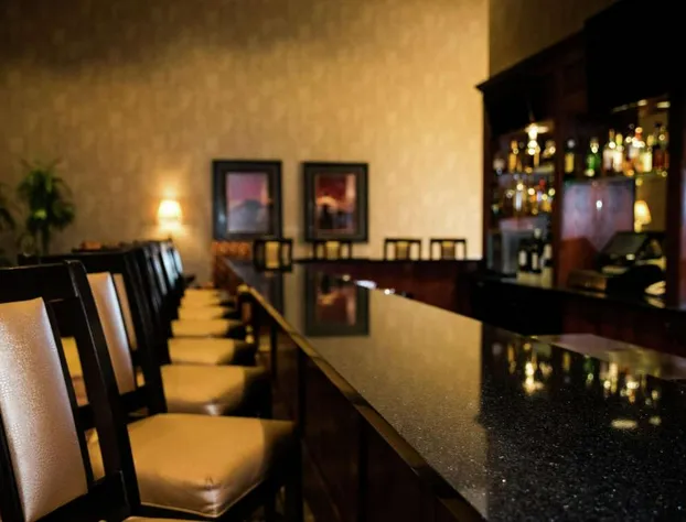 Embassy Suites by Hilton Minneapolis North hotel detail image 2