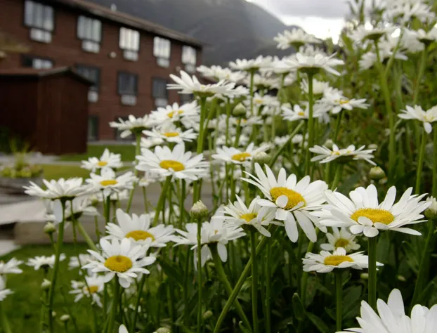Bucks T4 Lodge hotel detail image 3
