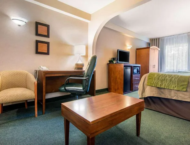 Comfort Inn & Suites Shawinigan hotel detail image 3