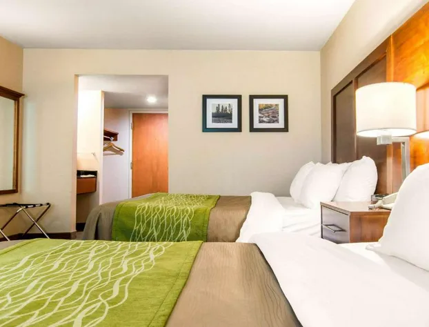 Comfort Inn & Suites Shawinigan hotel detail image 4