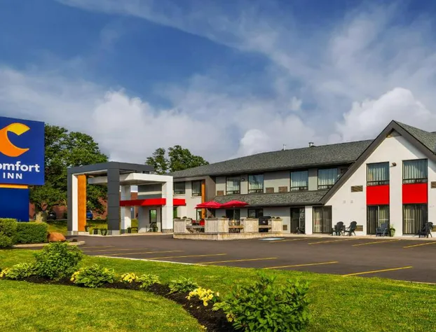 Comfort Inn hotel detail image 3