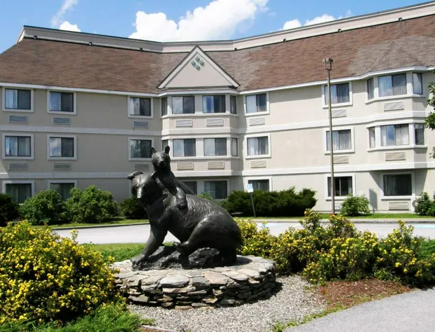 Black Bear Inn, an Ascend Collection Hotel hotel detail image 1