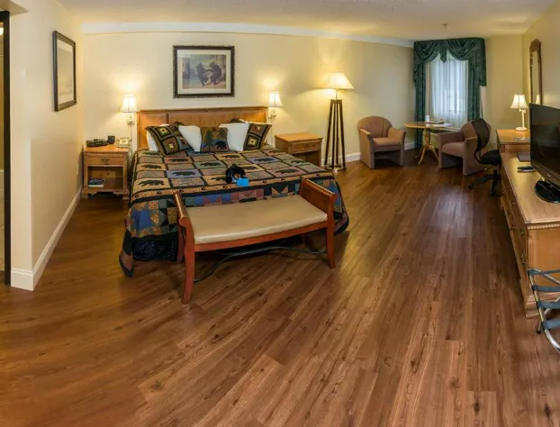 Black Bear Inn, an Ascend Collection Hotel hotel detail image 4