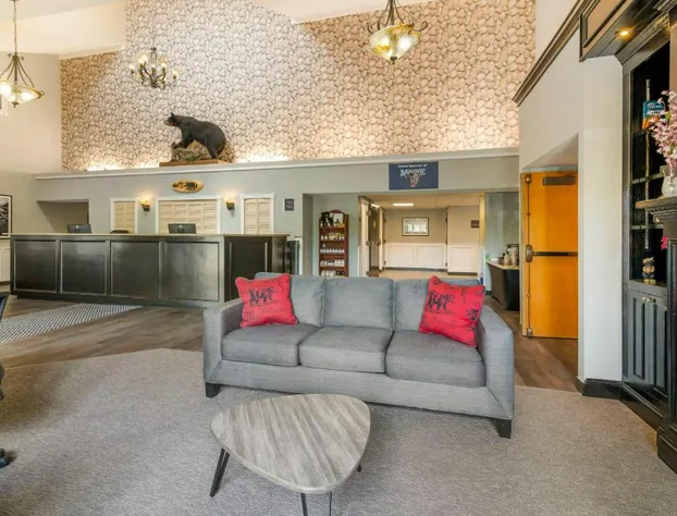 Black Bear Inn, an Ascend Collection Hotel hotel detail image 4