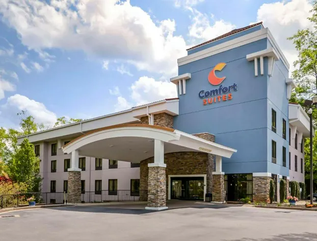 Comfort Suites At Kennesaw State University hotel detail image 1