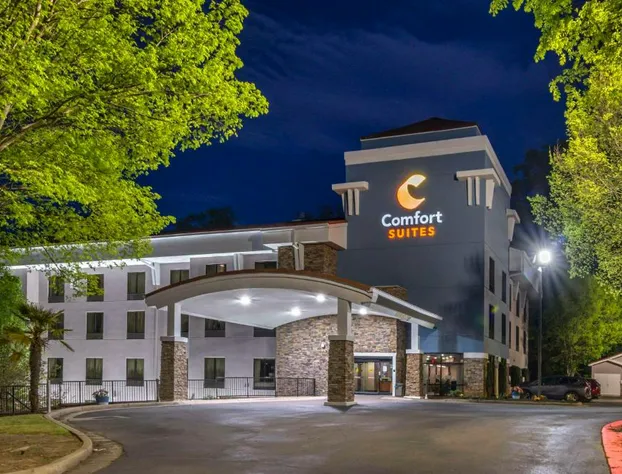 Comfort Suites At Kennesaw State University hotel detail image 2