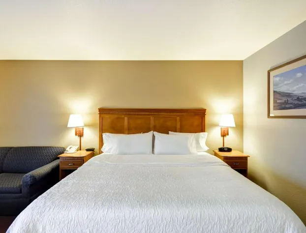 Hampton Inn Bozeman hotel detail image 1