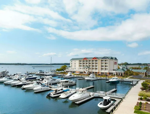 Hilton Garden Inn Kent Island Marina hotel detail image 3