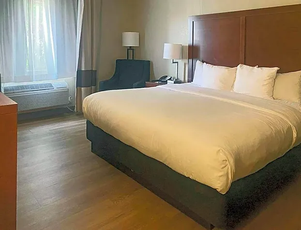 Comfort Inn & Suites Phoenix North / Deer Valley hotel detail image 4