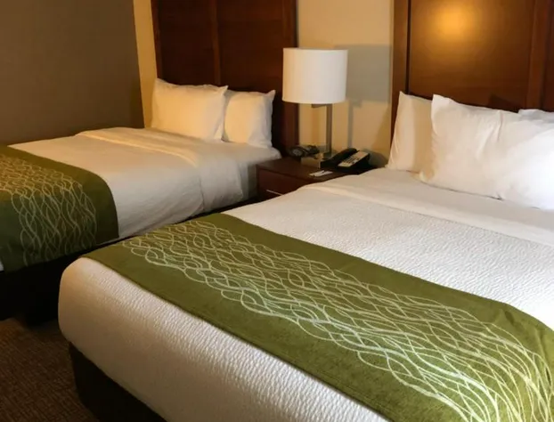 Comfort Inn & Suites Phoenix North / Deer Valley hotel detail image 4