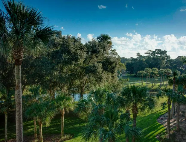 Sawgrass Marriott Golf Resort & Spa hotel detail image 1