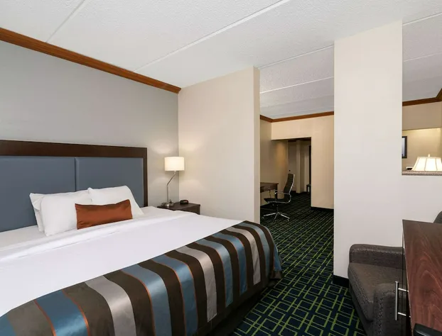 Wingate by Wyndham Fletcher at Asheville Airport hotel detail image 4