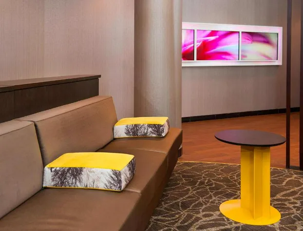 SpringHill Suites by Marriott Birmingham Colonnade hotel detail image 4