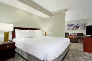 SpringHill Suites by Marriott Chesapeake Greenbrier hotel detail image 2