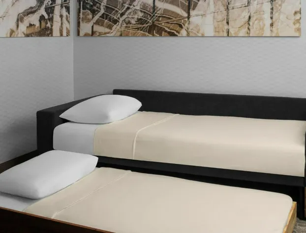 SpringHill Suites by Marriott Pittsburgh Southside Works hotel detail image 2