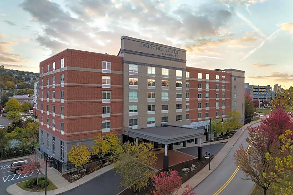 SpringHill Suites by Marriott Pittsburgh Southside Works hotel hero