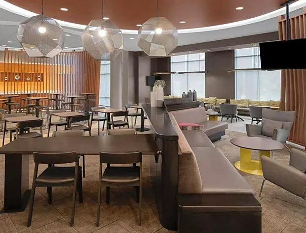 SpringHill Suites by Marriott Pittsburgh Southside Works hotel detail image 2