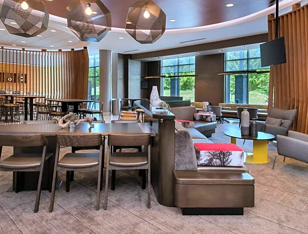 SpringHill Suites by Marriott Pittsburgh Southside Works hotel detail image 4