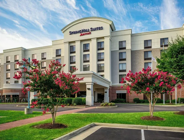 Springhill Suites by Marriott Hampton Coliseum hotel detail image 2