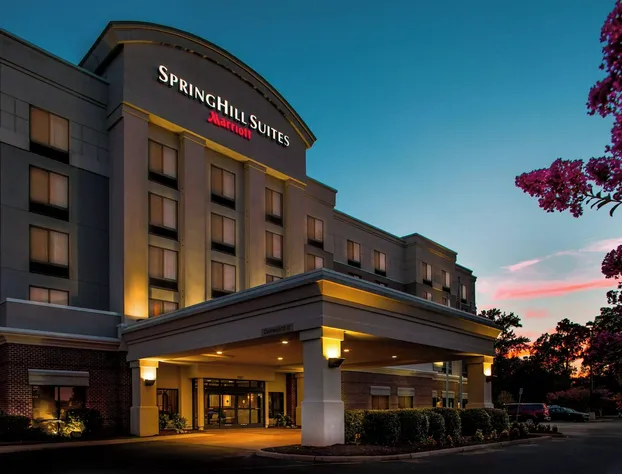 Springhill Suites by Marriott Hampton Coliseum hotel detail image 1