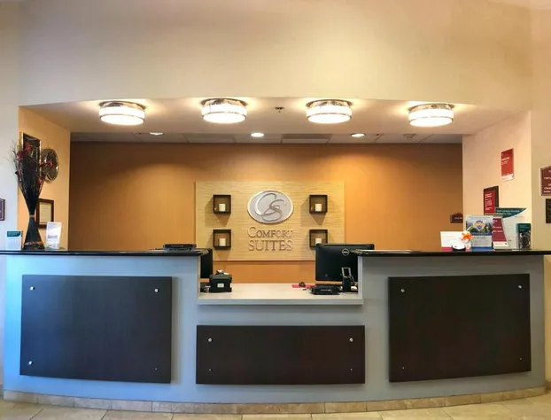 Comfort Suites Near City of Industry - Los Angeles hotel detail image 3