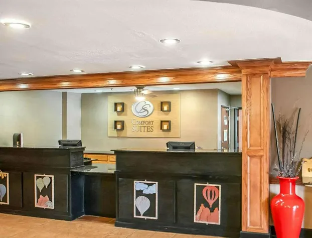 Comfort Suites Albuquerque/North Journal Center hotel detail image 3