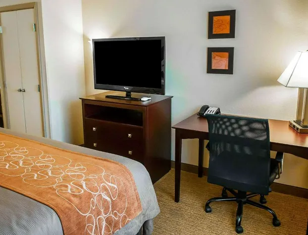 Comfort Suites Albuquerque/North Journal Center hotel detail image 4