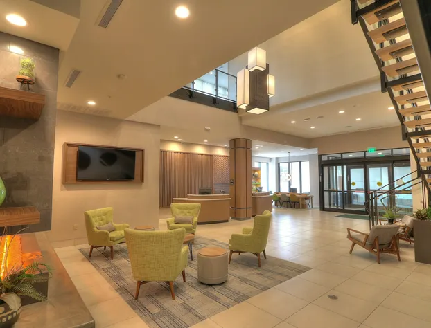 Holiday Inn & Suites Pigeon Forge Convention Center by IHG hotel detail image 3