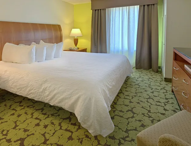 Hilton Garden Inn Huntsville/Space Center hotel detail image 4