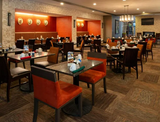 Holiday Inn Amarillo West Medical Center by IHG hotel detail image 4