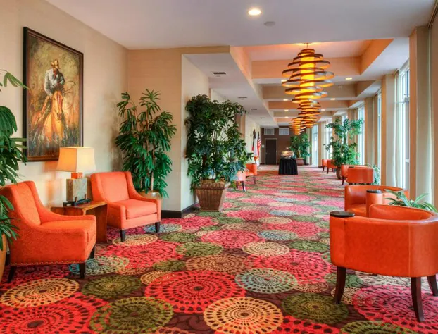 Holiday Inn Amarillo West Medical Center by IHG hotel detail image 3