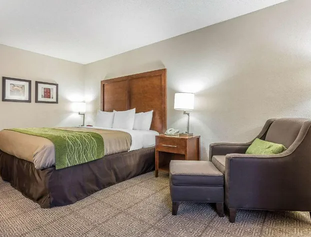 Quality Inn Summerville - Charleston hotel detail image 4