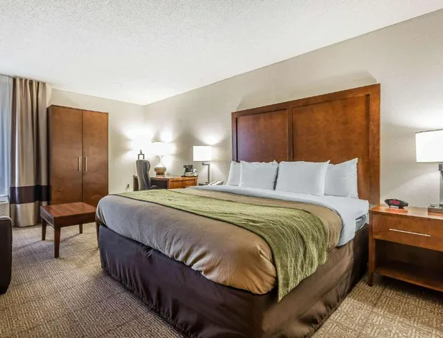 Quality Inn Summerville - Charleston hotel detail image 4