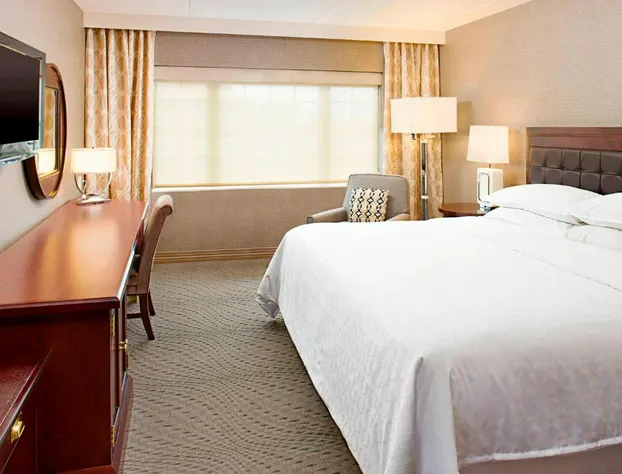 Sheraton Rockville Hotel hotel detail image 3