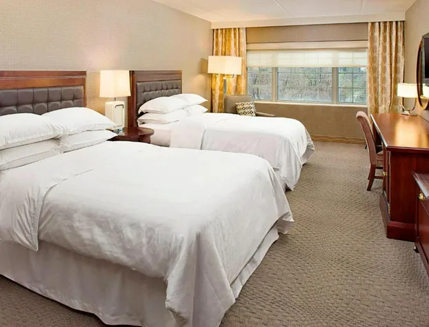 Sheraton Rockville Hotel hotel detail image 2