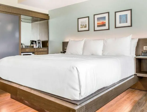 Wyndham Newport Hotel hotel detail image 4