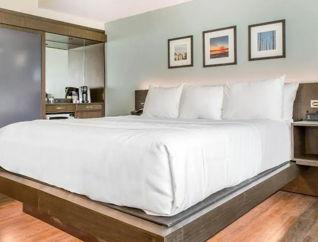 Wyndham Newport Hotel hotel detail image 4