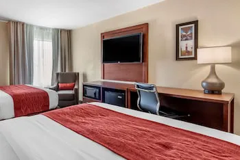 Comfort Inn Lafayette I-65 hotel detail image 2