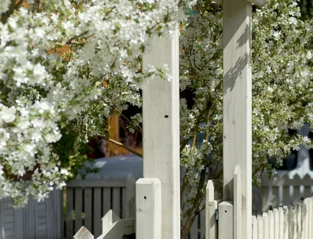 The Alpine House hotel detail image 2